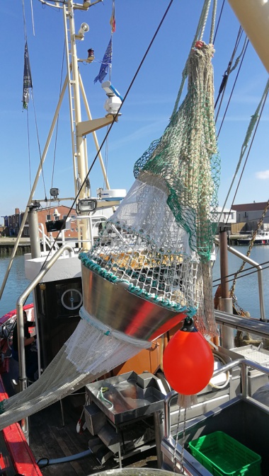 Flow funnel sewn in the shrimp net